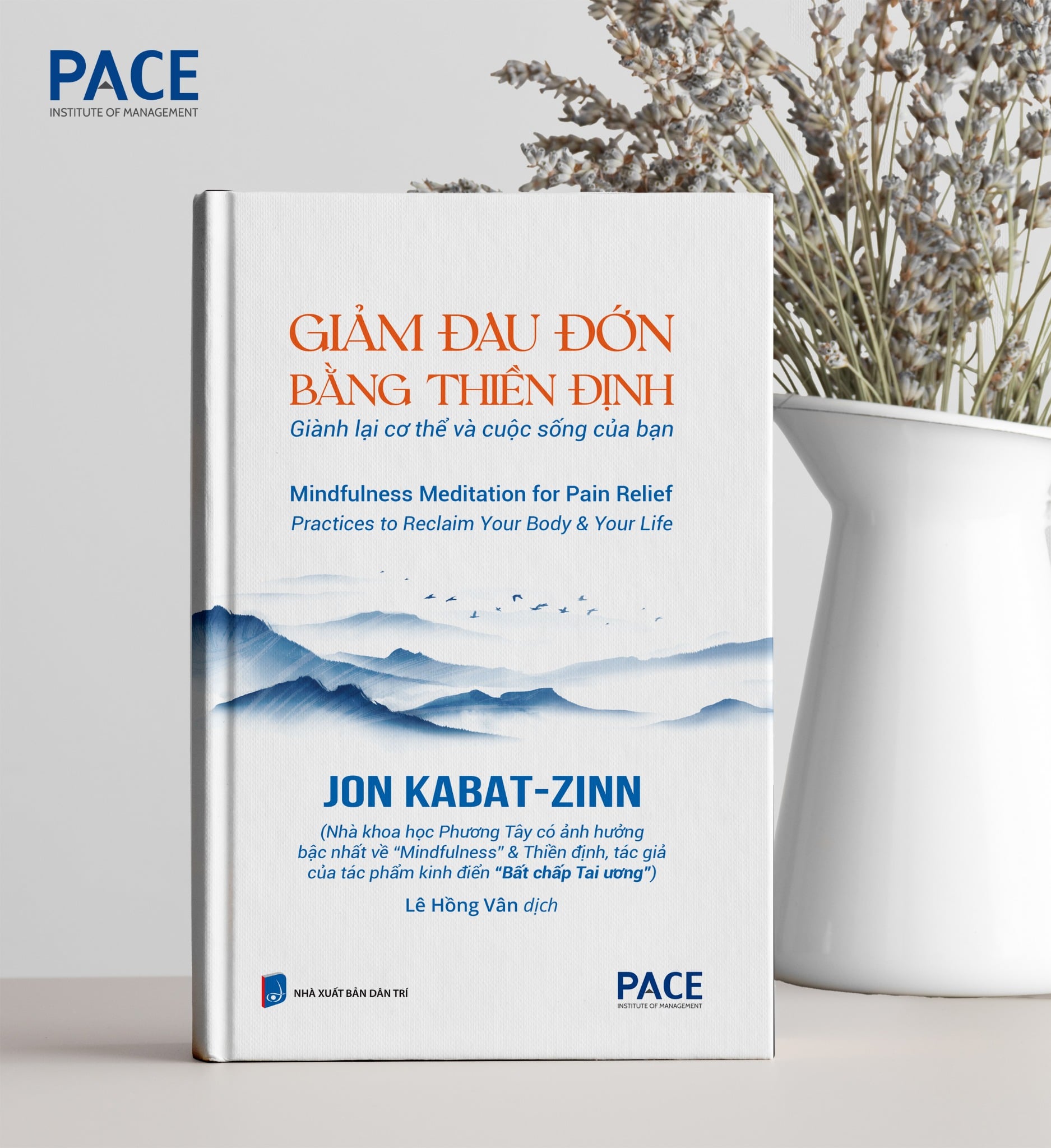 Giảm Đau Đớn Bằng Thiền Định - Mindfulness Meditation For Pain Relief - Jon Kabat-Zinn