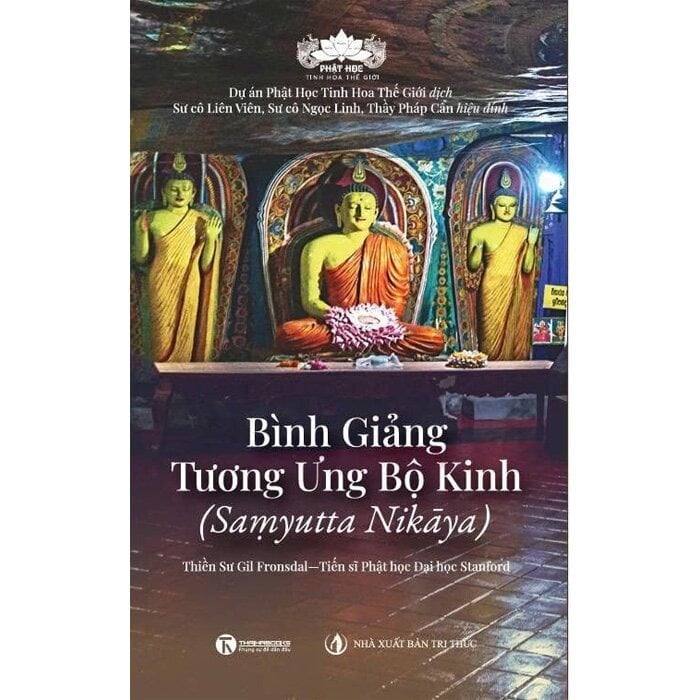 Bình Giảng Tương Ưng Bộ Kinh - 
Gil Fronsdal