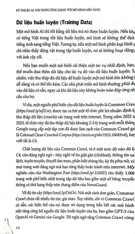  Kỹ Thuật AI - Xây Dựng Ứng Dụng Với Mô Hình Nền Tảng - Chip Huyen 