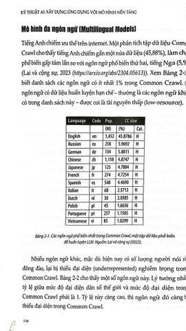  Kỹ Thuật AI - Xây Dựng Ứng Dụng Với Mô Hình Nền Tảng - Chip Huyen 