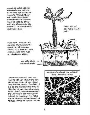  Câu Chuyện Môi Trường - Larry Gonick, Alice Outwater 