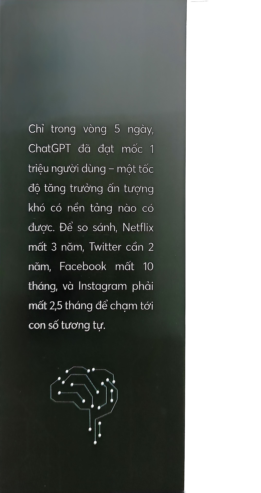 Kỹ Thuật Đặt Câu Lệnh Cho Chat GPT - Neil Dagger