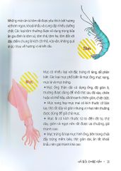 { Trưng Bày } Nồi Niêu Xoong Chảo - Sổ Tay Bếp Núc Của Tôi - Lăng Vi