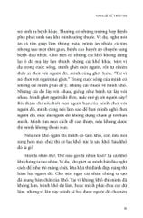 Bộ 3 Cuốn Sách Sa Môn Thích Pháp Hòa ( Chia Sẻ Từ Trái Tim + Con Đường Chuyển Hoá + Lá Hoa Trên Đường Về ) ( Tặng kèm Túi Vải )