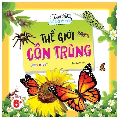 Combo 8 Cuốn Khám Phá Thế Giới Kỳ Diệu ( Cơ Thể Con Người + Thế Giới Côn Trùng + Thế Giới Đại Dương + Thế Giới Động Vật Hoang Dã + Thế Giới Không Gian + Thế Giới Khủng Long + Thế Giới Loài Chó + Thế Giới Loài Mèo )