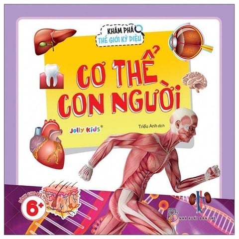 Combo 8 Cuốn Khám Phá Thế Giới Kỳ Diệu ( Cơ Thể Con Người + Thế Giới Côn Trùng + Thế Giới Đại Dương + Thế Giới Động Vật Hoang Dã + Thế Giới Không Gian + Thế Giới Khủng Long + Thế Giới Loài Chó + Thế Giới Loài Mèo )