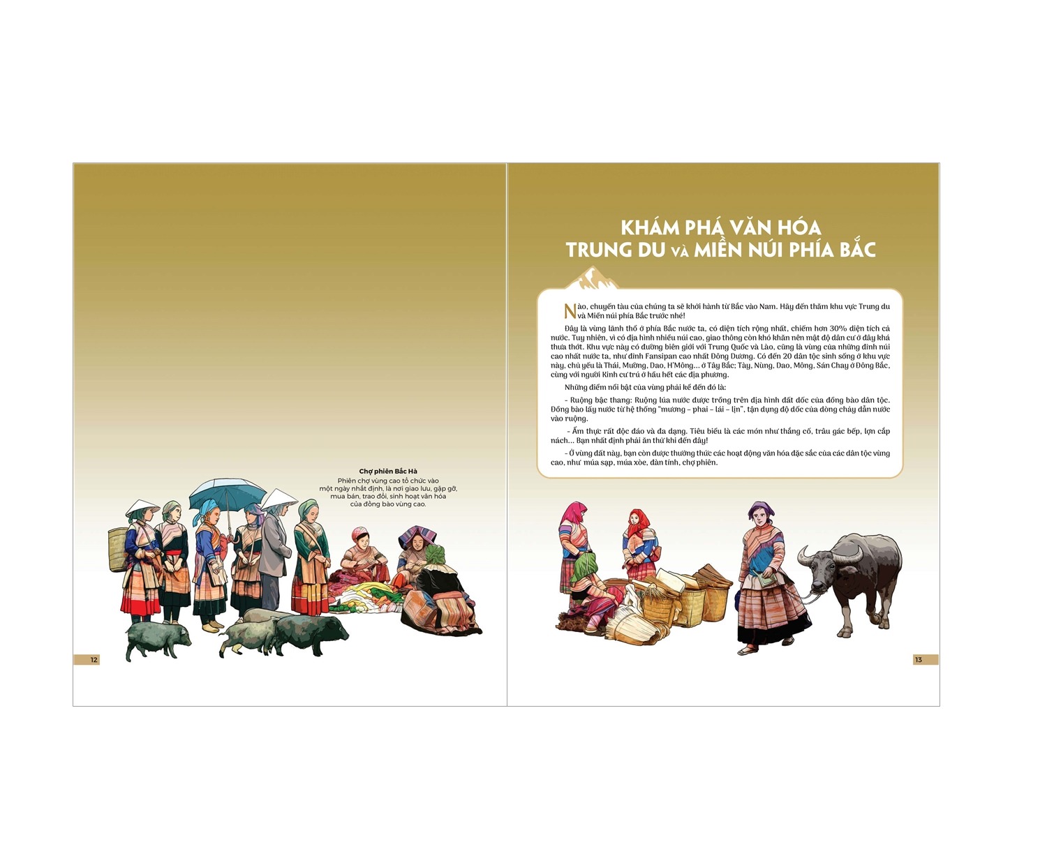 Đất Nước Gấm Hoa - Atlas Việt Nam - Ấn Bản Lưu Dấu 63 Tỉnh Thành (Bìa Cứng) - Võ Thị Mai Chi, Hồ Quốc Cường (2025)