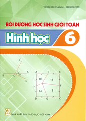 Bồi Dưỡng Học Sinh Giỏi Toán Lớp 6 - Hình Học (Dùng Cho Các Bộ SGK Mới) - Vũ Hữu Bình (Chủ biên) - Đàm Hiếu Chiến - NXBGD
