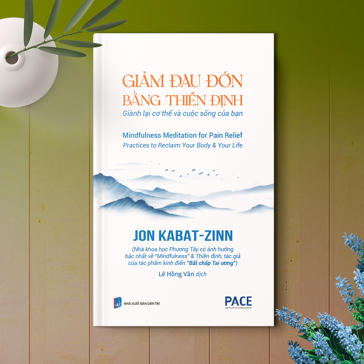 Giảm Đau Đớn Bằng Thiền Định - Mindfulness Meditation For Pain Relief - Jon Kabat-Zinn