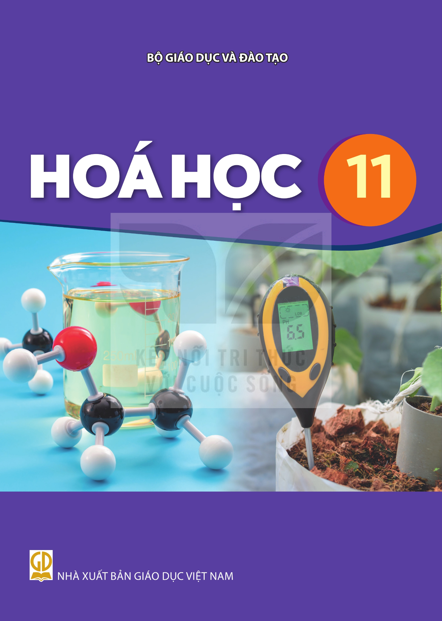 Sách Giáo Khoa - Hóa Học 11 - Kết Nối Tri Thức Với Cuộc Sống - Xuất Bản Q2/2026 - Lê Kim Long (Tổng Chủ Biên) - NXBGD