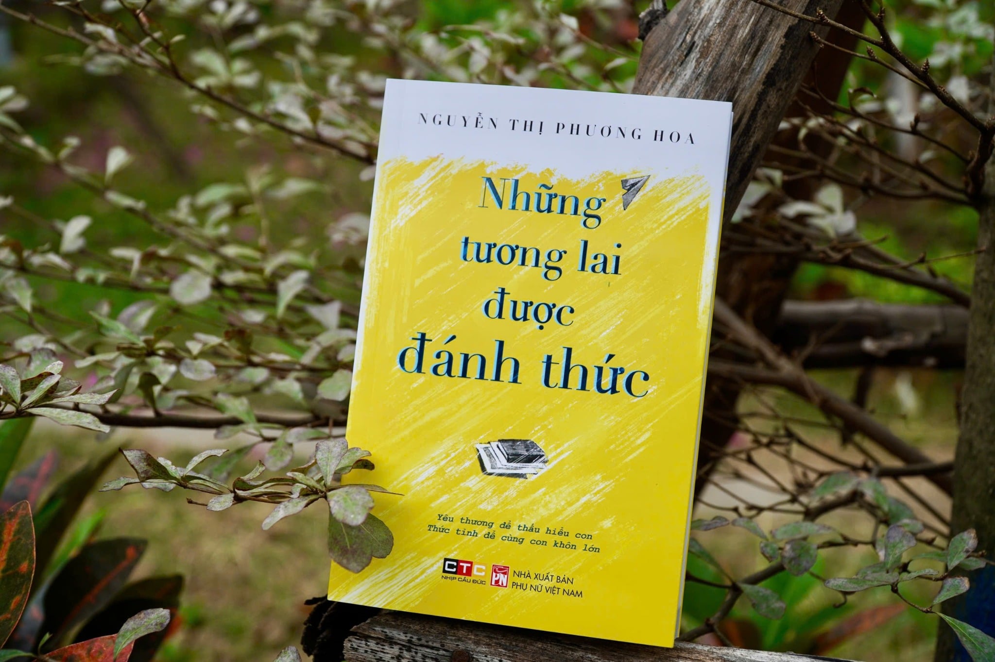 Những Tương Lai Được Đánh Thức - Nguyễn Thị Phương Hoa