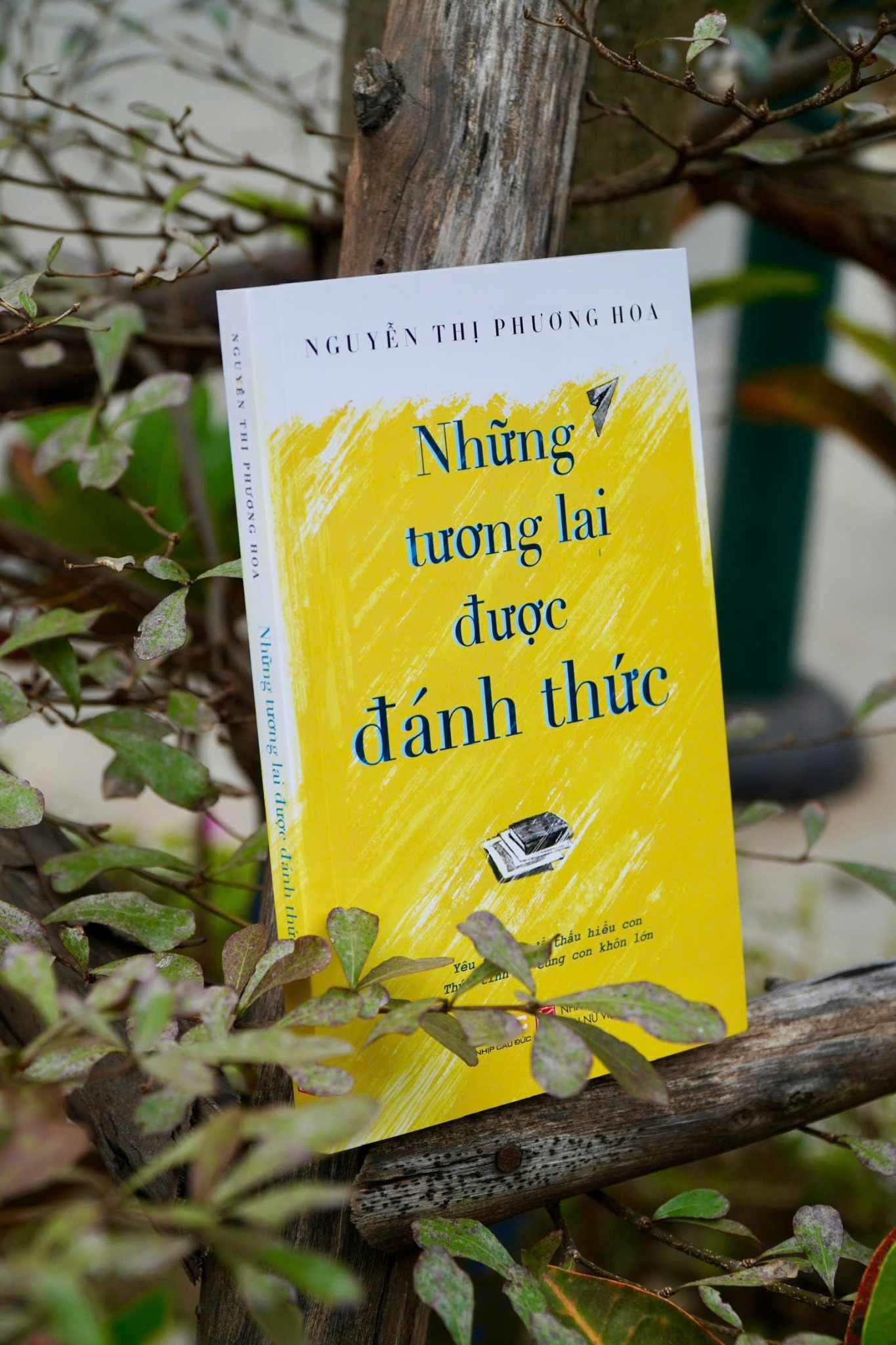 Những Tương Lai Được Đánh Thức - Nguyễn Thị Phương Hoa