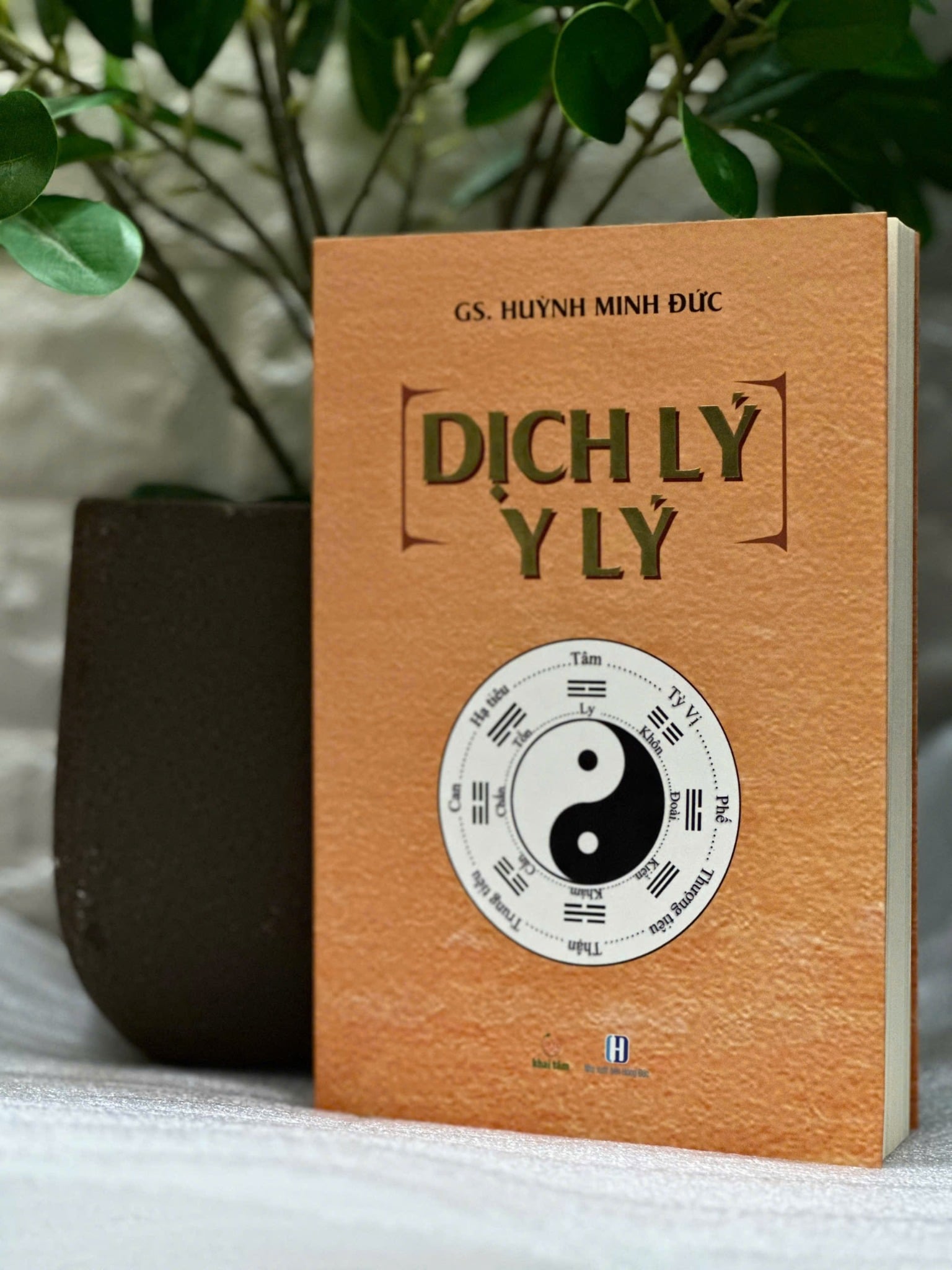 Dịch Lý - Y Lý - Huỳnh Minh Đức