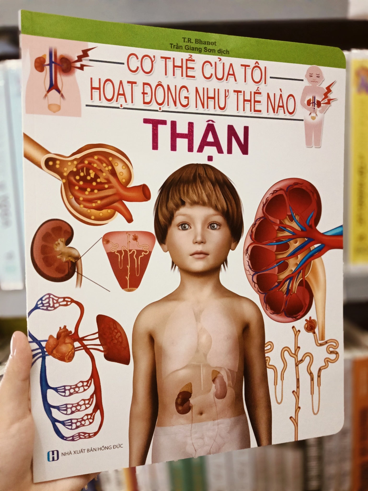 Cơ Thể Của Tôi Hoạt Động Như Thế Nào Thận - T.R.Bhanot