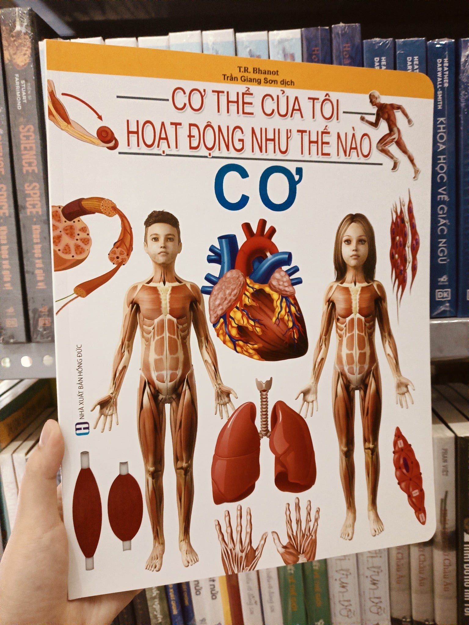 Cơ Thể Của Tôi Hoạt Động Như Thế Nào - Cơ - T.R.Bhanot