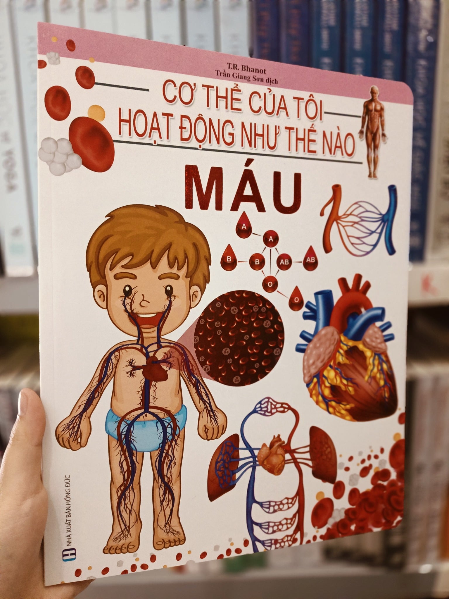 Cơ Thể Của Tôi Hoạt Động Như Thế Nào Máu - T.R.Bhanot