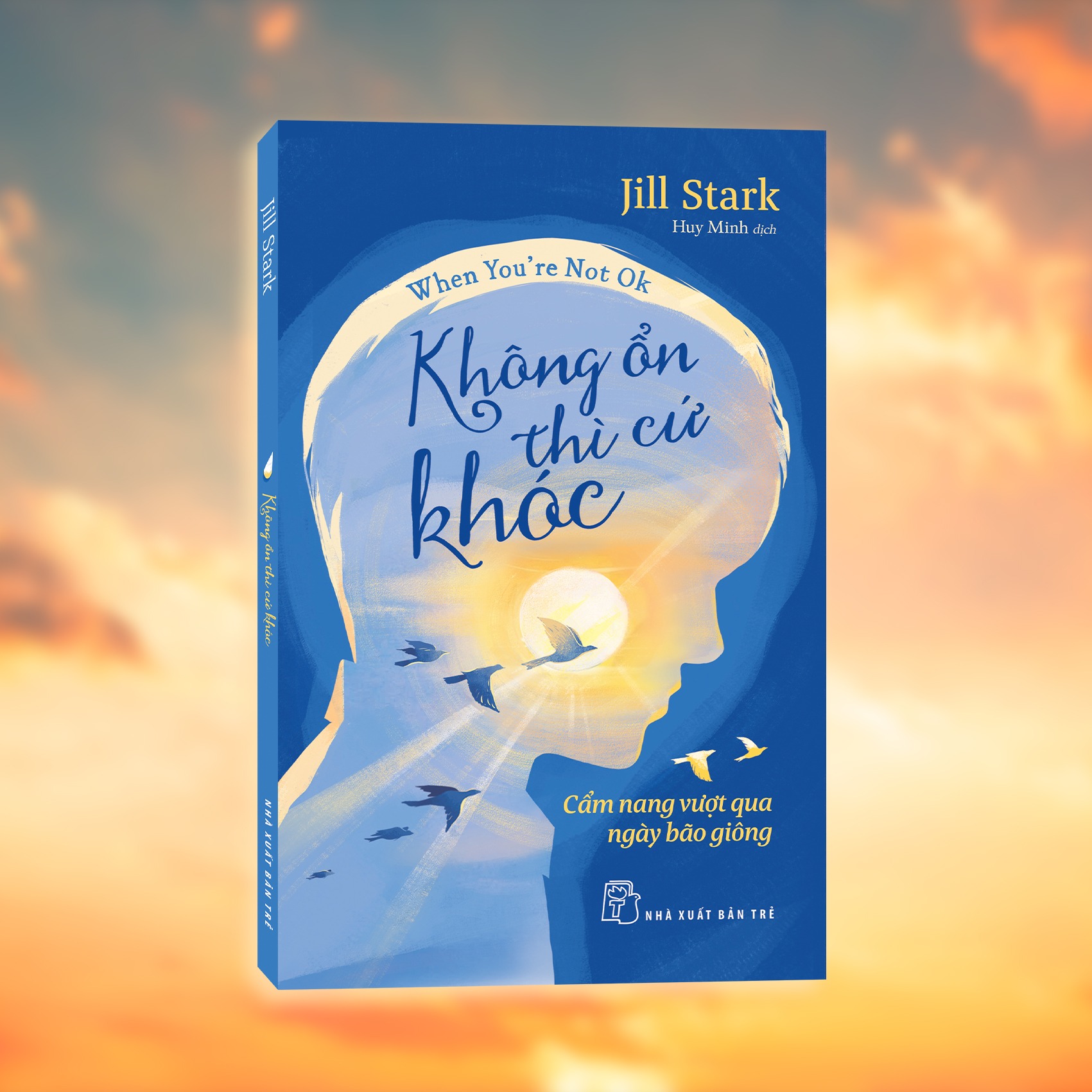 Không Ổn Thì Cứ Khóc - Cẩm Nang Vượt Qua Ngày Giông Bão - Jill Stark