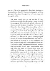 Khi Rắn Khoác Áo Doanh Nhân - TS Paul Babiak, TS Robert D. Hare