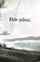 Bộ 3 Cuốn Sách Sa Môn Thích Pháp Hòa ( Chia Sẻ Từ Trái Tim + Con Đường Chuyển Hoá + Lá Hoa Trên Đường Về ) ( Tặng kèm Túi Vải )