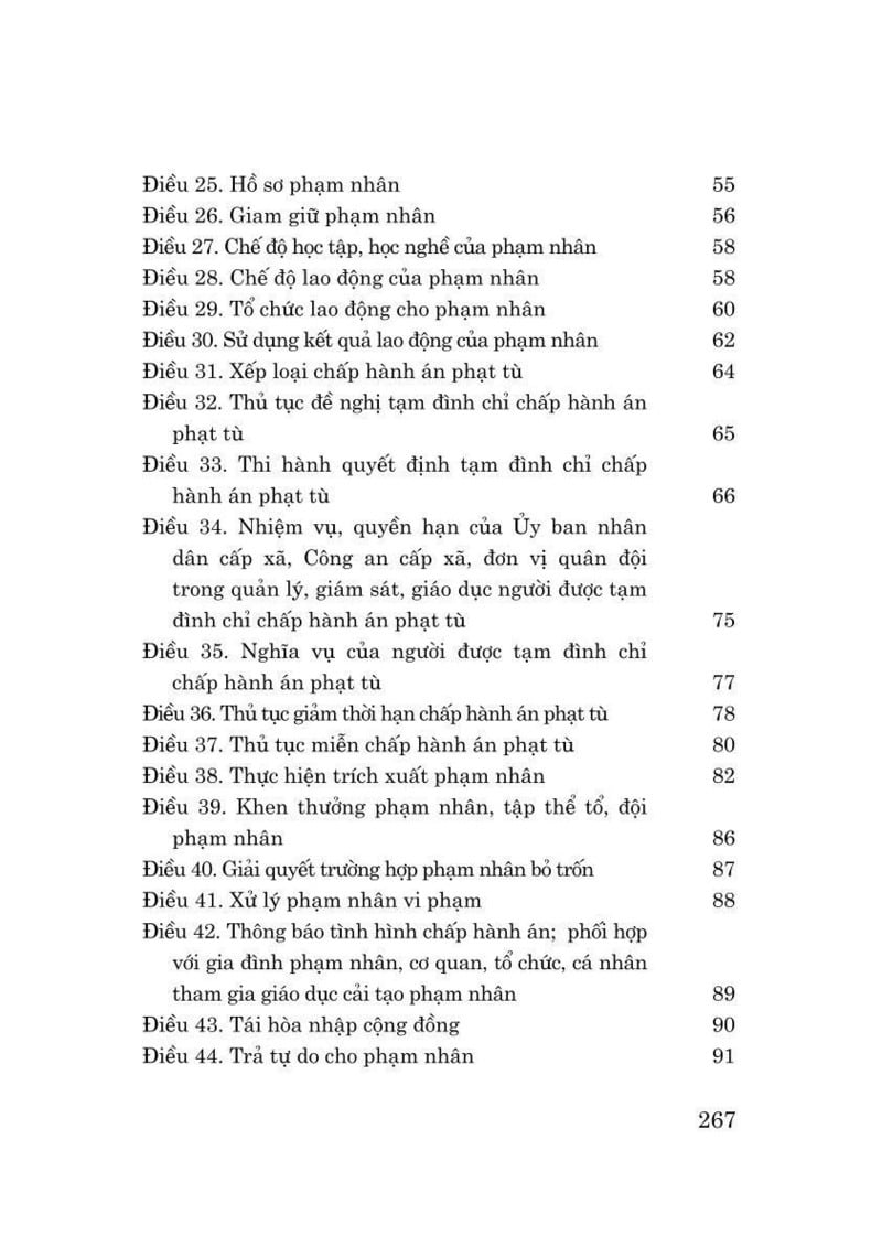 Luật Thi Hành Án Hình Sự Năm 2025 - Quốc Hội