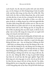 Dấu Xưa Trên Biển Lớn -  Sara Caputo