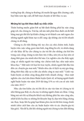 Đi Tìm Câu Hỏi Cho Sự Khôn Ngoan - Elizabeth Weingarten