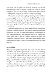 Đi Tìm Câu Hỏi Cho Sự Khôn Ngoan - Elizabeth Weingarten