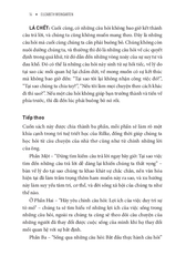 Đi Tìm Câu Hỏi Cho Sự Khôn Ngoan - Elizabeth Weingarten