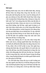 Dòng Chảy - Khi Bạn Ở Phiên Bản Tốt Nhất - 
Stewart I. Donaldson, Matthew Dubin