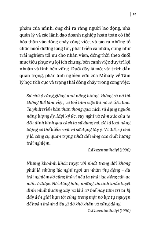Dòng Chảy - Khi Bạn Ở Phiên Bản Tốt Nhất - 
Stewart I. Donaldson, Matthew Dubin