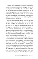 Đức Phật, Nàng Savitri Và Tôi - Hồ Anh Thái