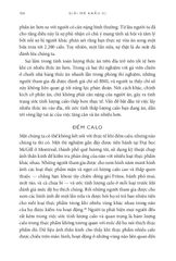 Giải Mã Khẩu Vị - Ăn Uống Ngon Lành - Vóc Dáng Khỏe Mạnh - 
Rachel Herz