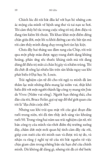 Học Yêu Mình Ở Tuổi Trung Niên - Chip Conley