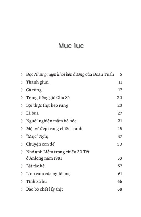 Những Ngọn Khói Bên Đường - Đoàn Tuấn