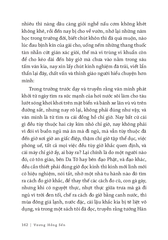 Tạp Bút Năm Canh Ngọ Qua Tân Mùi (1990-1991) - Vương Hồng Sển