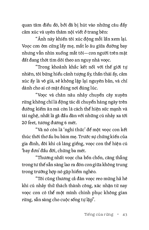 Tiếng Của Rừng - Vĩnh Quyền