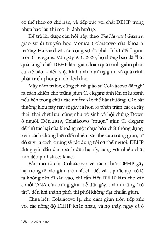 Từ Sự Mất Ngủ Của Ruồi - Mạch Nha