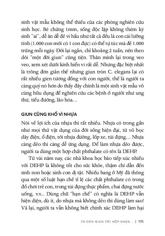Từ Sự Mất Ngủ Của Ruồi - Mạch Nha