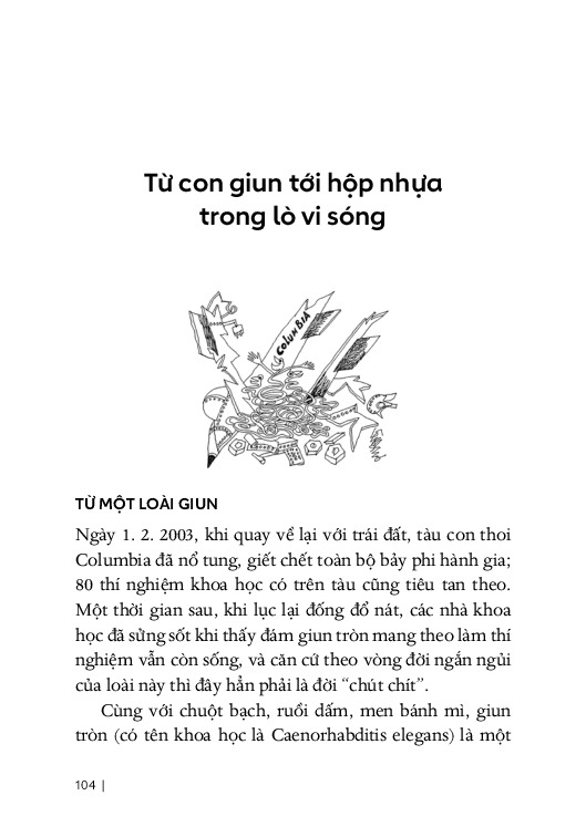 Từ Sự Mất Ngủ Của Ruồi - Mạch Nha