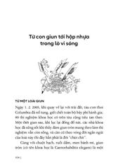 Từ Sự Mất Ngủ Của Ruồi - Mạch Nha