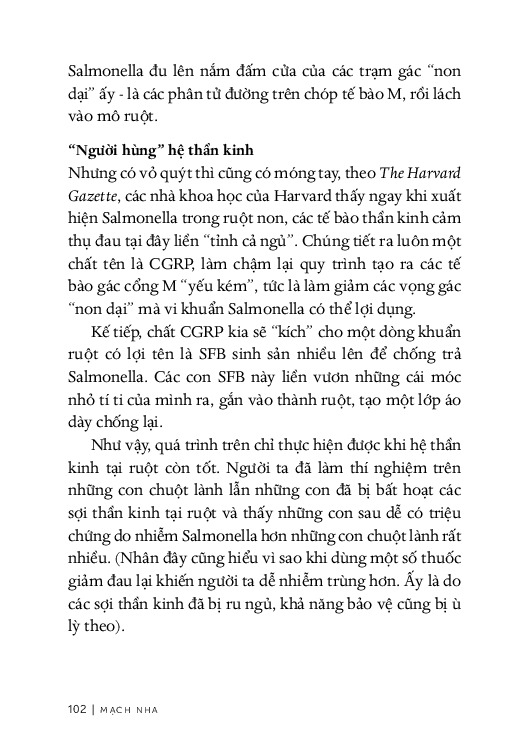 Từ Sự Mất Ngủ Của Ruồi - Mạch Nha