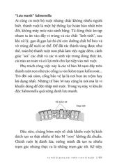 Từ Sự Mất Ngủ Của Ruồi - Mạch Nha