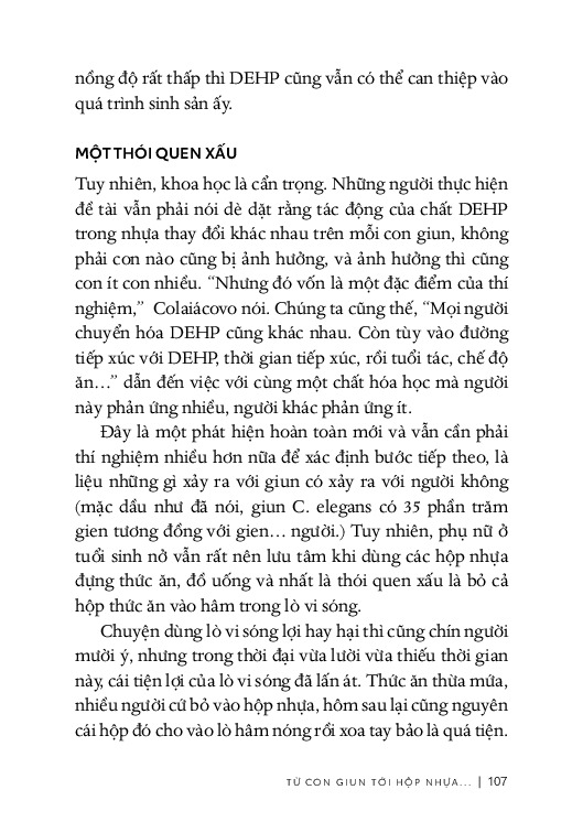 Từ Sự Mất Ngủ Của Ruồi - Mạch Nha
