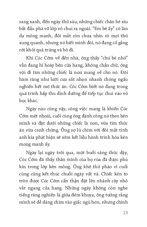 Văn Học Thiếu Nhi - Cánh Cam Và Mùa Hè - Tú Ngô