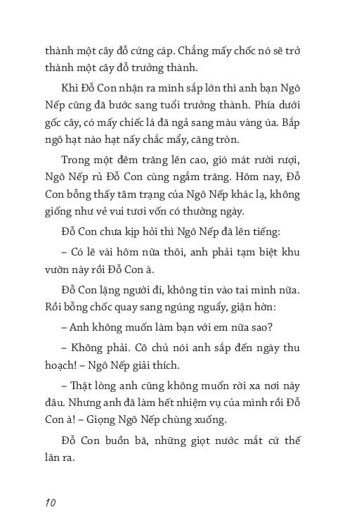Hướng Dương Còi Ngược Nắng - Cao Văn Quyền