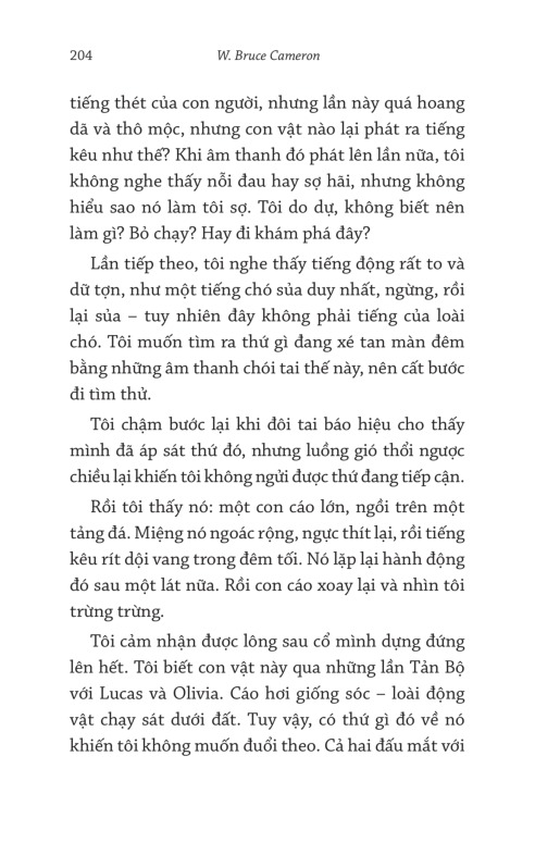Về Nhà - W. Bruce Cameron