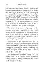 Về Nhà - W. Bruce Cameron