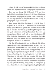 Việt Sử Khảo Lược - Tôn Thất Dương Kỵ