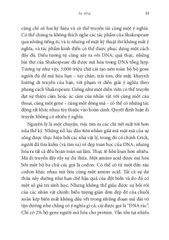 Vũ Điệu Sự Sống - Nick Lane