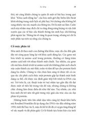 Vũ Điệu Sự Sống - Nick Lane